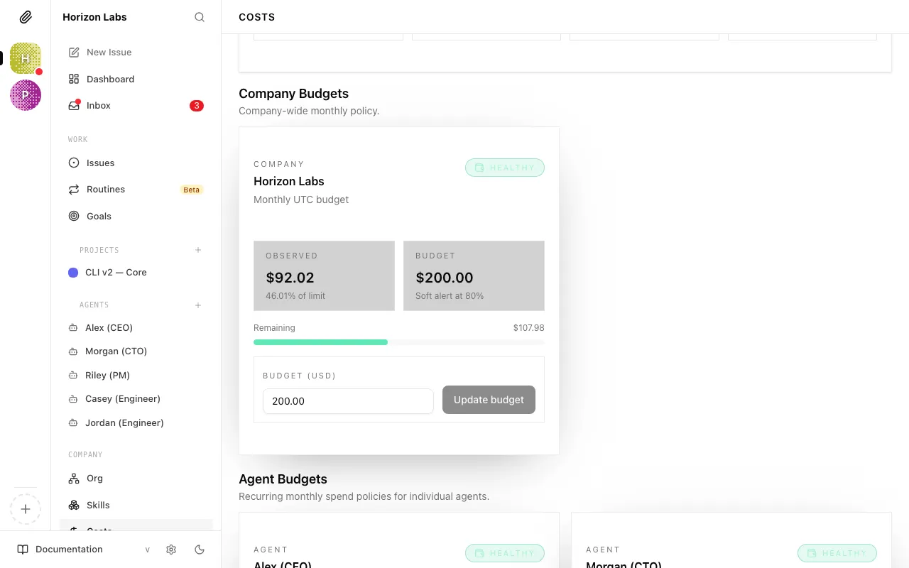 Company settings page showing the Monthly Budget field